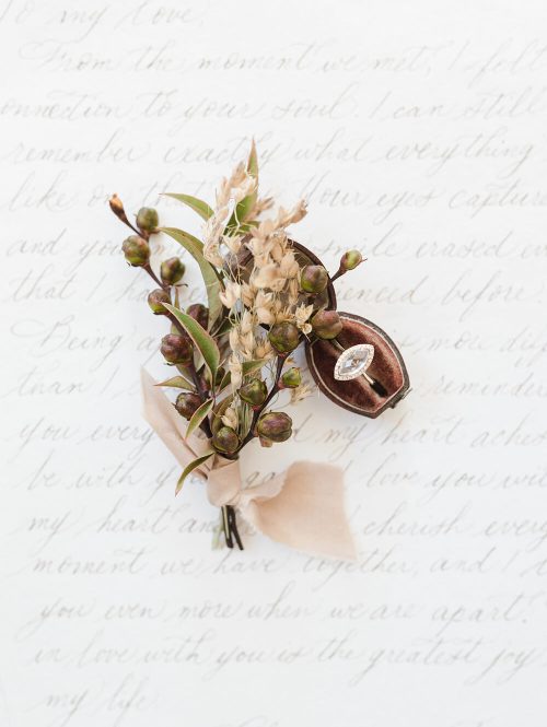 haute-stock-photography-11